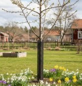 Gnaverbeskyttelse 50 cm