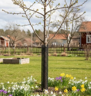 Gnaverbeskyttelse 50 cm