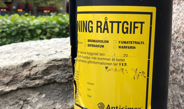 Råttgift i Stockholm